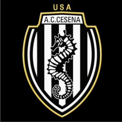 AC Cesena WPSL (@wpsl_CesenaUSA) /