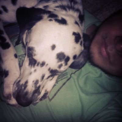 kmaxoramone's profile picture. Ingeniero.