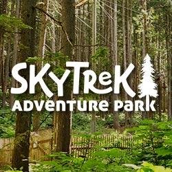 Aerial Trekking Courses, Adventure Tower, Kids Tree Adventure, Jungle Gym