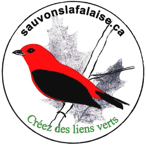 SauvonsFalaise's profile picture. La mission de Sauvons la Falaise est de protèger la Falaise St-Jacques/The mission of Sauvons La Falaise: to ensure protection of the St Jacques escarpment