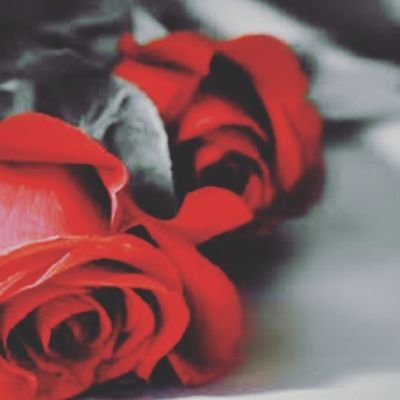 الرياضة