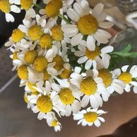 Glitzy Jade Events (@glitzyjadevents) 's Twitter Profile
