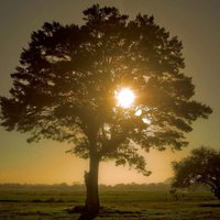 さとし@すけべなおじさん (@satosi_39) Twitter profile photo