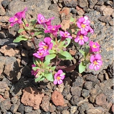 DonnaBarson's profile picture. 