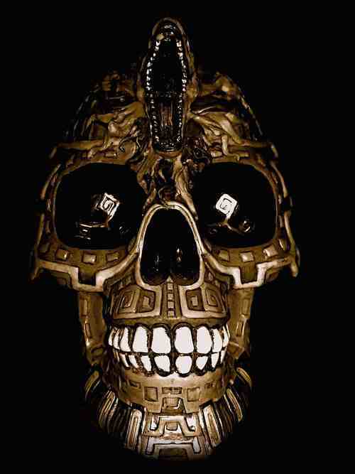 StrungMovie's profile picture. Follow the progress of Ireland's hilariously controversial Film, Strung: The Head Shop Movie