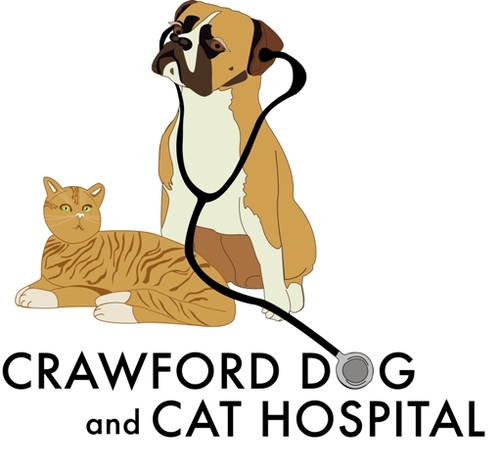 knvet's profile picture. Former animal hospital owner and general practitioner. Currently working shifts at a veterinary emergency room. #veterinarian #dog #cat