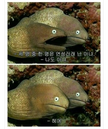 FFR 마감독 촉봇さんのプロフィール画像