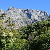 Parkscape (@parkscapesa) 's Twitter Profile