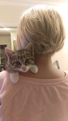 gonulkirman's profile picture. 