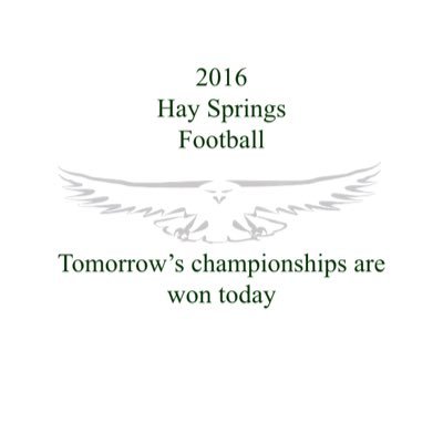 The Twitter profile for the Hay Springs Hawks football team. Scores, stats, schedules and other team news will be posted here. snapchat: hshsfootball