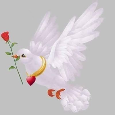 laylakatoalmas1's profile picture. ‏التصوير .... عالمي