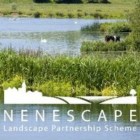 Nenescape(@nenescape) 's Twitter Profileg