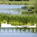 Nenescape (@nenescape) Twitter profile photo