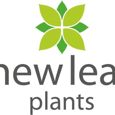 Newleafplants Profile Picture