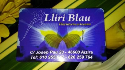 LLIRI Blau Floristería Artesana D'ALZIRA 610955647