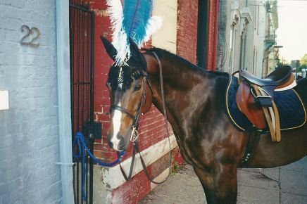 Galt_now's profile picture. Who is John Galt? Big Time Trump fan...I took the "header" photo. #MAGA #Trump2020