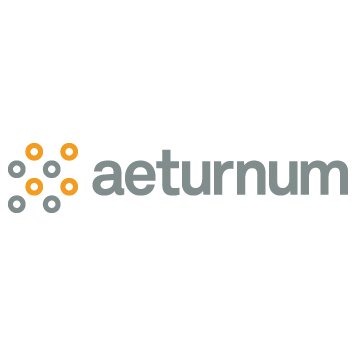 AeturnumInc's profile picture. Aeturnum is a global provider of enterprise-class application development services and solutions with deep expertise.