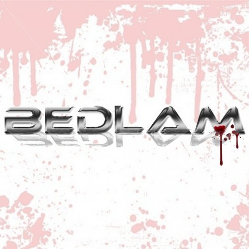 BEDLAM are a rock covers band. Ian Hitchinson on bass, Carl Hitchen on drums, front woman Suzi Venables-Wood and Ross Sandland on lead guitar