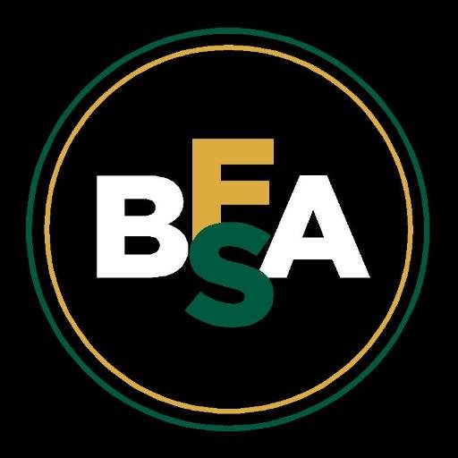 The Black Faculty & Staff Association at the University of South Florida: Building on a Foundation of Service and Achievement.