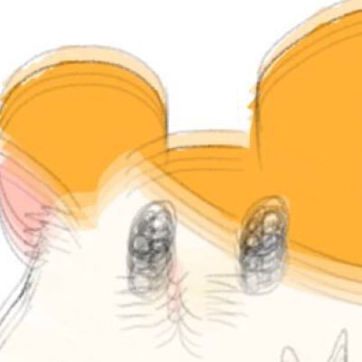 のこさんのプロフィール画像
