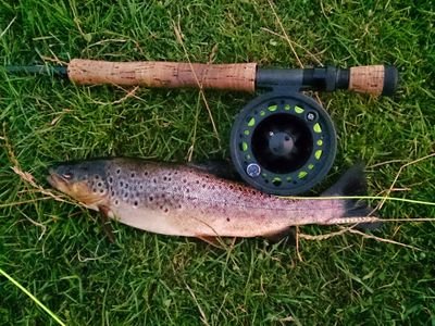 Amateur fisherman and youtuber.

Always found chasing wild brown trout and stocked rainbows around Scotland