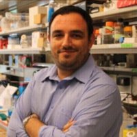 Riccardo Gottardi (@ricgottardi) 's Twitter Profile Photo Riccardo Gottardi (@ricgottardi) 's Twitter Profile Photo
