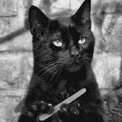 Lisa_the_King's profile picture. 