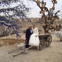 Veysel Mahmut YETİM (@veyselcim) Twitter profile photo