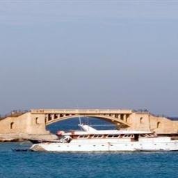 OlaLayaly's profile picture. 