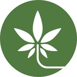 potavenue's profile picture. Best Cannabis delivery agent. Collect #marikuyana, #Weed, #cbd