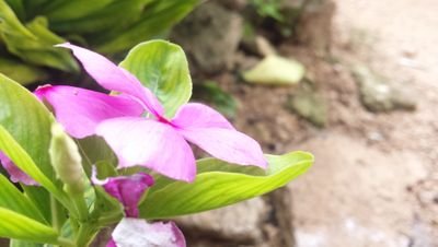 Deluxe_922's profile picture. Fotos hermosas sin filtros, con un Samsung galaxy s4, Eso veras aquí.