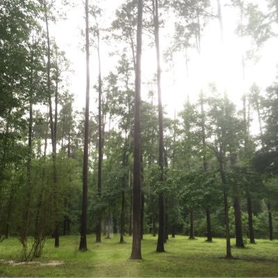 AnhVuHai1's profile picture. Cellist