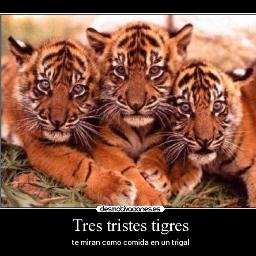 Tres Tristes Tigres de su fundador Humberto Tigre Becerra, show música retro de 60s 70s y todos nuestros amigos artistas de la época, a sus ordenes.