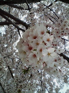 goldenmoon0424's profile picture. プログラマ⇒企業の採用・教育部門etc⇒大学のキャリア教育＆就職支援担当教員⇒大学職員⇒現在実家の家業事務ゆるり手伝いつつ、9y&5y育児中。いずれ復帰するべく2級キャリコン・CDAの学習継続中【趣味】昔はコスメ、F1など。今は程々の読書(絵本含)＆ちょい勉強。社会復帰希望だけど子が身体弱すぎて延期中