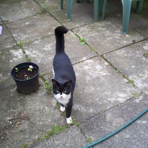 BingoLittle75's profile picture. MP/MSP Respecter. I am not responsible for Cousin Halifax or what he might say. I am not The Scone.Cynical clickbait. Secret Yoon. Zerelda Brass is my sister.