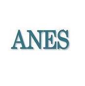 Nata nel 1995, ANES  rappresenta le Società editoriali che operano nel comparto dell’editoria periodica specializzata.
