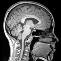 Druzgal Lab (@druzgallab) 's Twitter Profile
