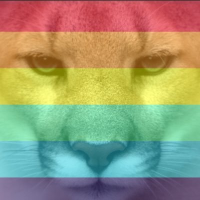 MontcalmCougars's profile picture. 