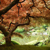 Hewitt Garden Center (@hewittgc) Twitter profile photo Hewitt Garden Center (@hewittgc) Twitter profile photo
