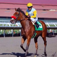 Great Friends Stable (@greatstable) 's Twitter Profile