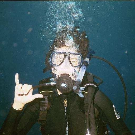 hemisphire's profile picture. 