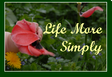 A blog about natural parenting and living in a busy world. Reviews, giveaways, thoughts, and ideas for living your life a little more simply!