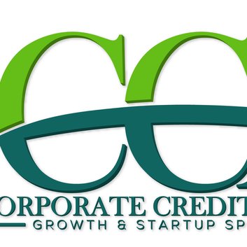 Start Up Business Consultants: What we know? Strategic Incorporation: How to Get a DUNS number: Optimizing PAYDEX Scores: Non Profit Specialist: