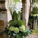 omar talib - @omartalib13 - Twitter