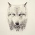 murat tuna (@12klnc34) Twitter profile photo murat tuna (@12klnc34) Twitter profile photo