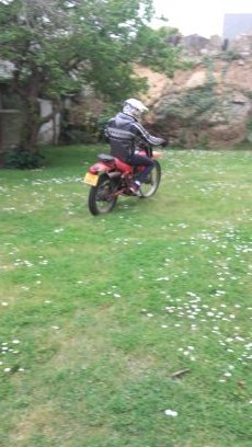 bibidada44's profile picture. 