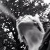 Zirpe030 (@zirpe030) Twitter profile photo Zirpe030 (@zirpe030) Twitter profile photo