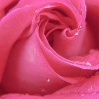 Sophienk (@mdphlse) 's Twitter Profile