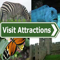 Guide to great days out and attractions across the UK.