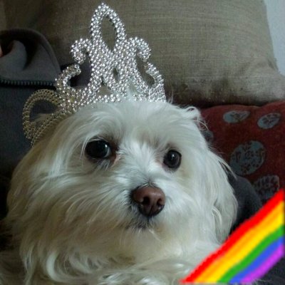 frafo74's profile picture. I Adore Women 🌈 ...Know what? Bitches get shit done... #feminism #lgbtq #arts #music #linguistics and other stuff #TvSeriesAddicted